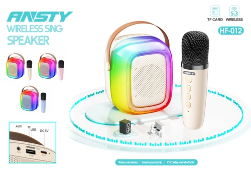 ANSTY Karaoke Speaker with Mic, Bluetooth 5.3, long Battery & Rgb light Glowing