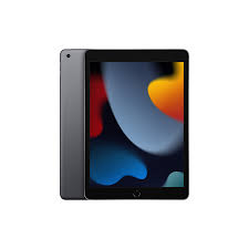 ipad 9th Gen WF+CL 256GB - Space Grey_1