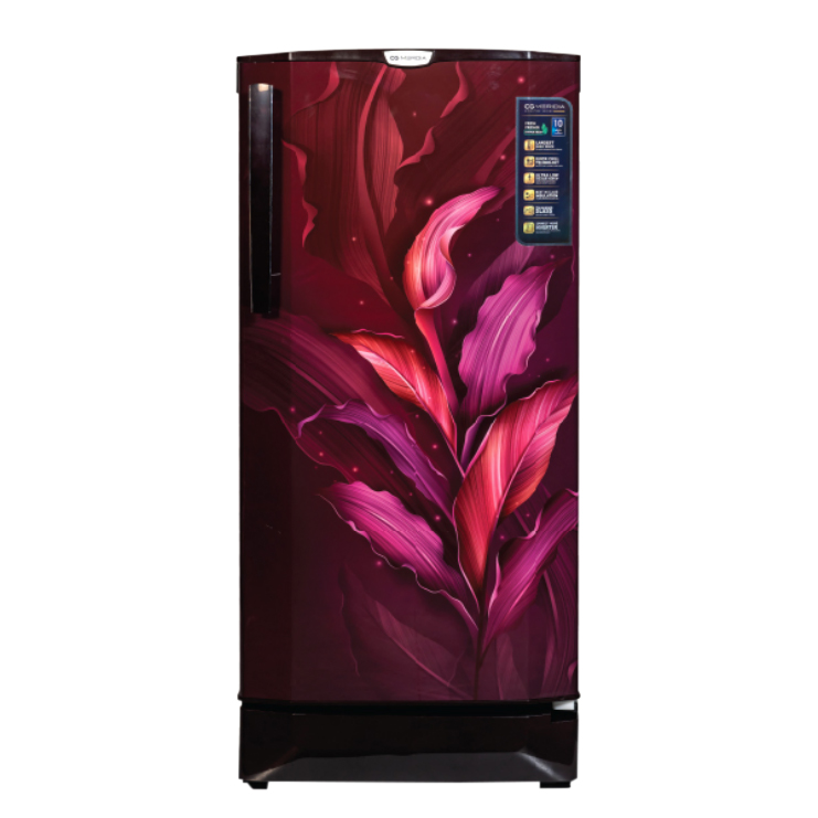 CG 190 Ltrs. Single Door Refrigerator | CGMRS2101PCWN_5