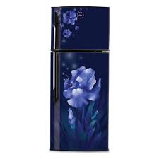 Godrej 260 Ltr Double door Fridge- RTEON260 NL AQ BL